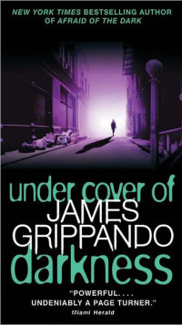 Grippando, James — Under Cover of Darkness