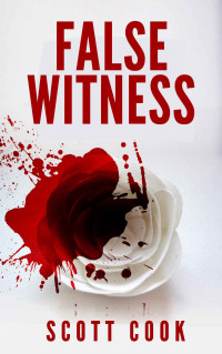 Scott Cook — False Witness