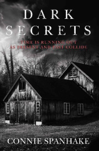 Connie Spanhake — Dark Secrets