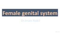 Iman Nabil — Female Genital System