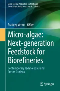 Pradeep Verma — Micro-algae: Next-generation Feedstock for Biorefineries: Contemporary Technologies and Future Outlook (Clean Energy Production Technologies)