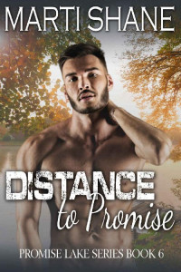 Marti Shane — Distance to Promise