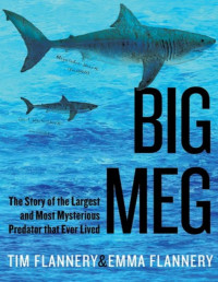 Flannery, Tim — Big Meg: The Story of the Largest and Most Mysterious Predator That Ever Lived