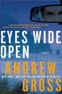 Andrew Gross — Eyes Wide Open