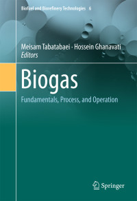 Meisam Tabatabaei & Hossein Ghanavati — Biogas