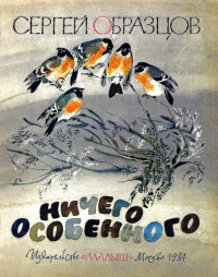 Образцов Сергей Владимирович — Ничего особенного