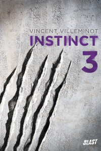 Vincent Villeminot — Instinct 3