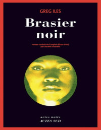 Greg Iles — Brasier noir