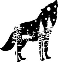 Maya Nicole — Wolf Forsaken: A Paranormal Wolf Shifter Romance (Arbor Falls Book 2)