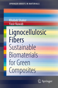 Springer — Lignocellulosic Fibers: Sustainable Biomaterials for Green Composites (SpringerBriefs in Materials)