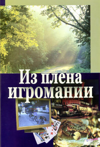 Владимир Анатольевич Цыганков — Из плена игромании