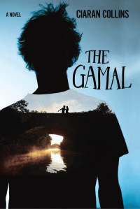 Ciarán Collins — The Gamal