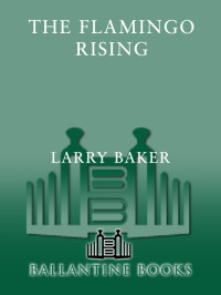 Larry Baker — The Flamingo Rising
