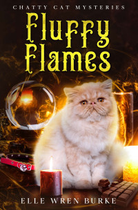 Elle Wren Burke — Fluffy Flames (Chatty Cat Mystery 3)