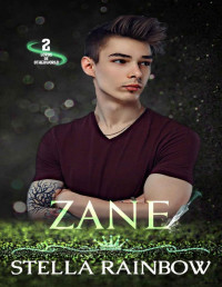 Stella Rainbow — Zane: An M x Agender MC Urban Fantasy Romance (Lords of Otherworld Book 2)