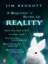 Jim Baggott — A Beginner's Guide to Reality