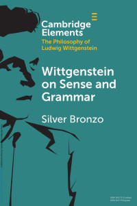 Silver Bronzo — Wittgenstein on Sense and Grammar