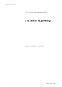 Chris Angus — The Impact of Gambling, Select Committee on Gambling, New South Wales (2014)