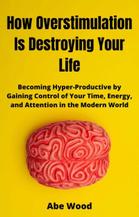 Abe Wood — How Overstimulation Is Destroying Your Life: Becoming Hyper-Productive by Gaining Control of Your Time, Energy, and Attention in the Modern World
