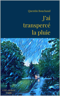 Bouchaud, Quentin — J’ai transpercé la pluie: Récit (French Edition)