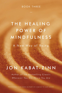 Jon Kabat-Zinn — The Healing Power of Mindfulness