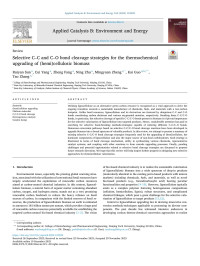 Ruiyan Sun — Selective Câ&#x80;&#x93;C and Câ&#x80;&#x93;O bond cleavage strategies for the thermochemical upgrading of (hemi)cellulosic biomass