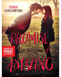 Robin Constantine — The Promise of Amazing