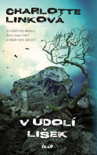 Charlotte Link — V údolí lišek