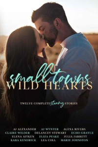 Claire Wilder & AJ Alexander & AJ Wynter & Alexa Rivers & Delancey Stewart & Echo Grayce & Julia Jarrett & Kara Kendrick & Lea Coll & Marie Johnston & Elena Aitken & Eliza Peake — Small Towns, Wild Hearts: Twelve Complete Stories