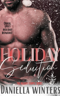 Winters, Daniella — Holiday Seduction: An office party holiday romance novella: Book 1: The Holiday Couple Series
