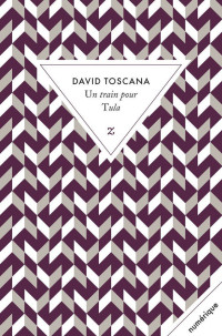 David Toscana — Un train pour Tula