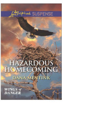 Dana Mentink — Hazardous Homecoming