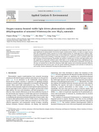 Yinpan Zhang — Oxygen-vacancy-boosted visible light driven photocatalytic oxidative dehydrogenation of saturated N-heterocycles over Nb2O5 nanorods