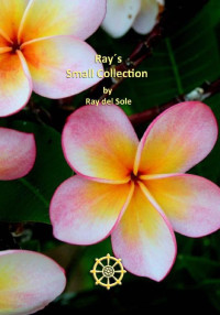 Ray del Sole — Ray´s Small Collection