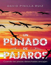 David Pinilla Ruiz — UN PUÑADO DE PÁJAROS: Cuando las piezas desechadas encajan (Spanish Edition)