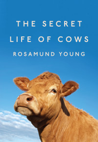 Rosamund Young — The Secret Life of Cows