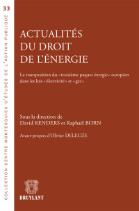 Raphal Born;David Renders; & François Tulkens & Elodie Wagnon & Raphaël Born & Tom Vanden Borre & Jean-Michel Hubert & Michaël Hunt & Christine Declercq & Damien Verhoeven & Pascal Boucquey & Guy Block — Actualits du droit de l'nergie