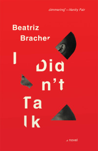 Beatriz Bracher — I Didn't Talk