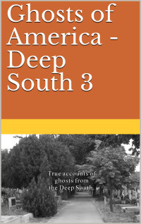 Nina Lautner — Ghosts of America - Deep South 3 (Ghosts of America Local Book 43)