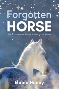 Elaine Heney — The Forgotten Horse - Book 1 in the Connemara Horse Adventure Series for Kids. The perfect gift for children age 8-12. (Connemara Adventures)