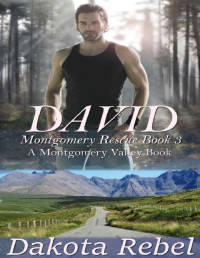 Dakota Rebel — David: Montgomery Rescue Book Three (Montgomery Valley 3)