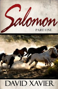 David Xavier — Salomon (Part One)