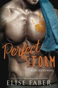 Elise Faber — Perfect Storm