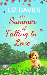 Liz Davies  — The Summer of Falling in Love