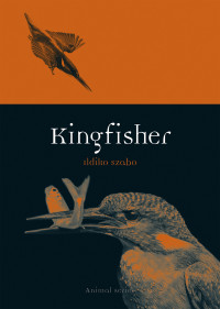 Szabo, Ildiko — Kingfisher