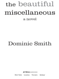 Dominic Smith — The Beautiful Miscellaneous