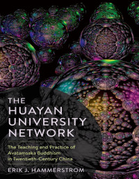 Erik J. Hammerstrom — The Huayan University Network