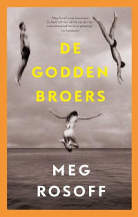 Meg Rosoff — De Godden broers