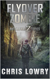 Chris Lowry — Flyover Zombie - a post apocalyptic action adventure: the Battlefield Z series