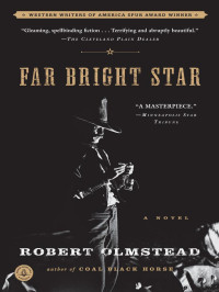 Robert Olmstead — Far Bright Star